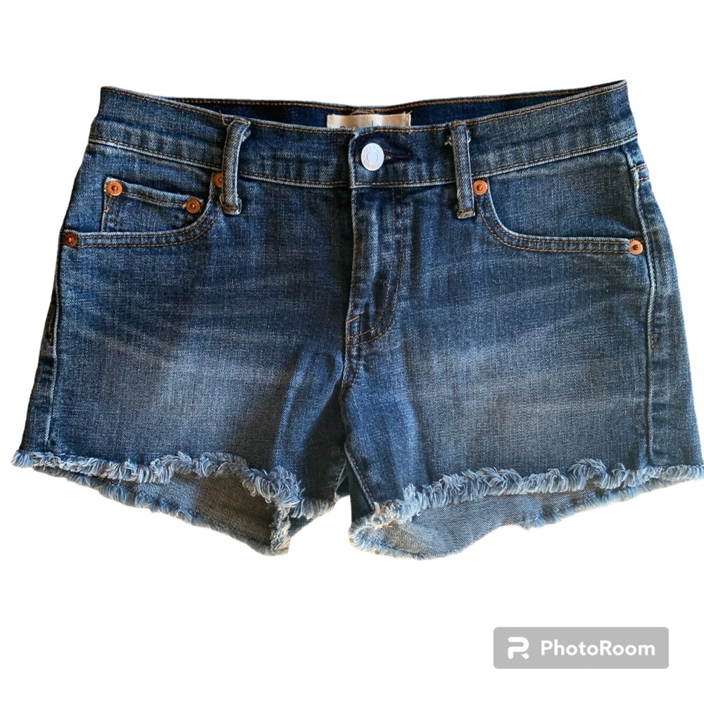 Gap 1969 Vintage Cutoff Jean Shorts